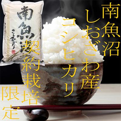 ふるさと納税 南魚沼市 【毎月定期便】生産者限定 契約栽培 南魚沼しおざわ産コシヒカリ 精米5Kg全6回