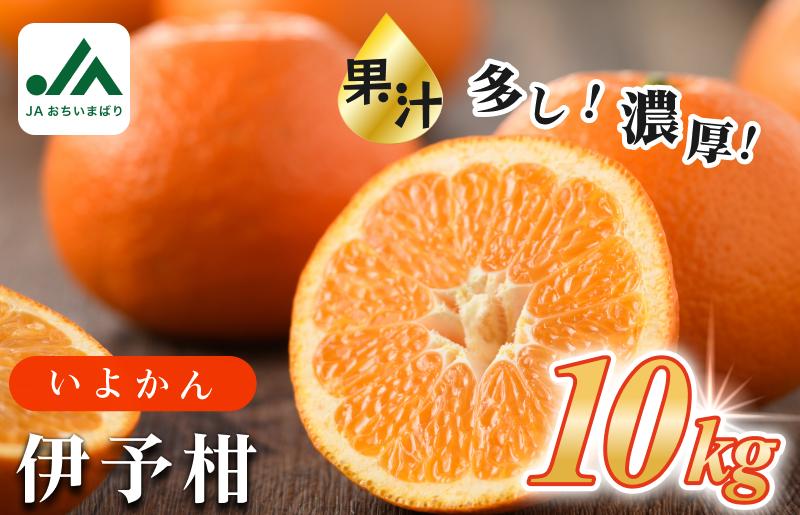 
                  【先行予約】 ＼定番商品／伊予柑 10kg [KB02080] 2027年1月初旬～2月末に順次発送予定 メガ盛り たっぷり 10kg 期間限定 国産 人気商品 いよかん 果物ギフト おいしい 美味しい 愛媛産 みかん 柑橘 フルーツ 果物 甘い ふるさと フルーツ JA【毎年売切れ】
                