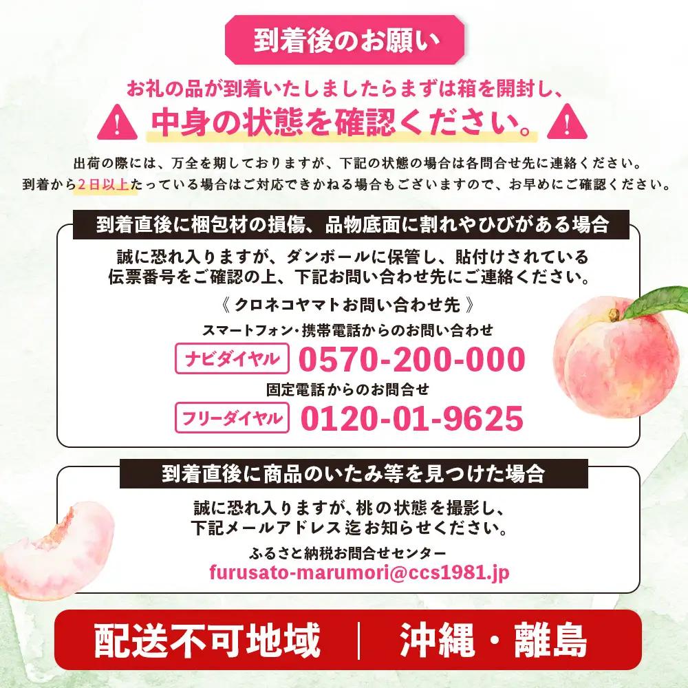 【先行予約】《7月中旬～9月中旬出荷》 宮城県丸森町産 桃 5～8玉（約2kg）【4800403】