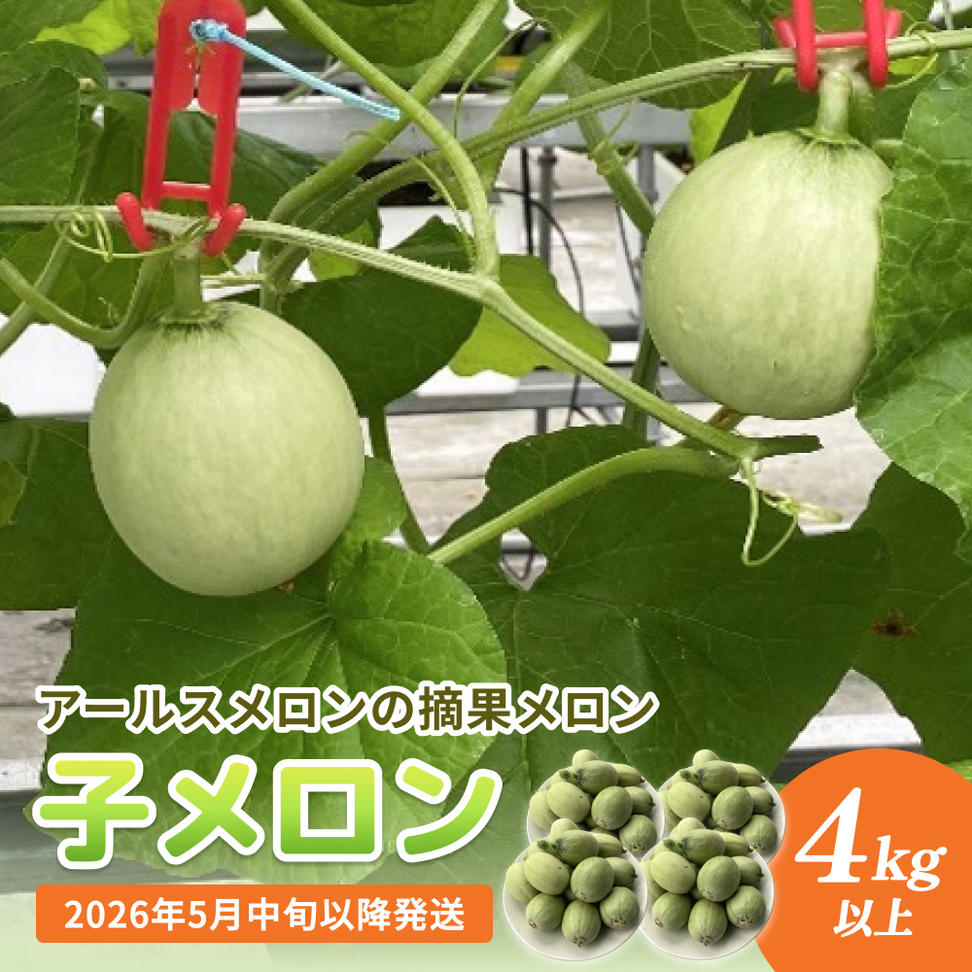 〈先行予約〉 子メロン （アールスメロンの摘果メロン） 4k