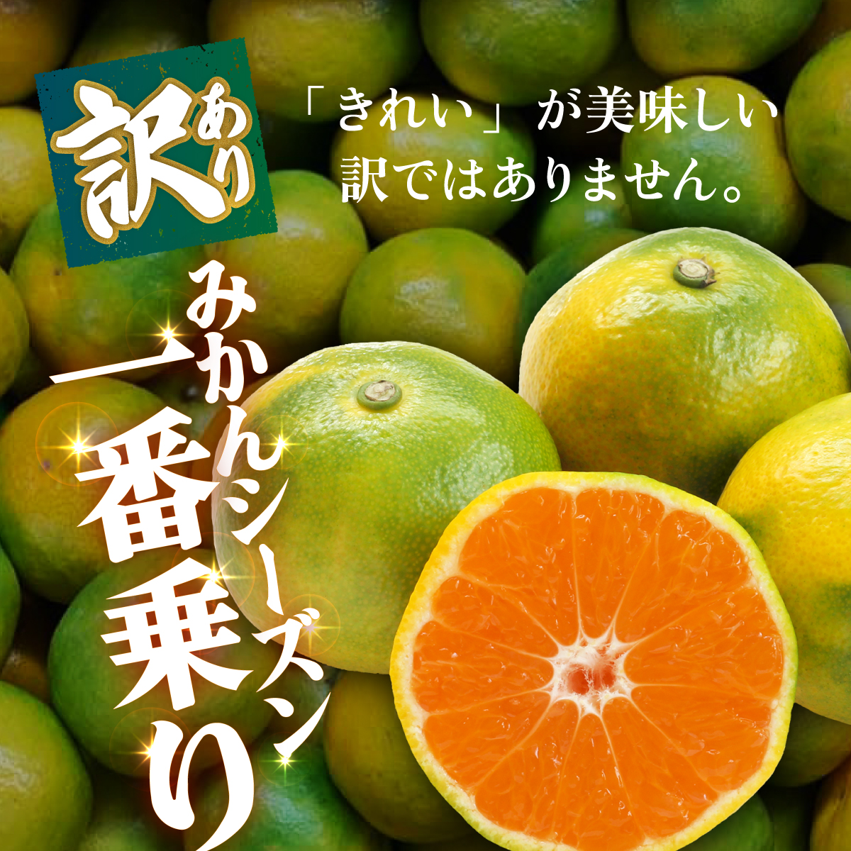 ＜【訳あり】愛媛県産 極早生 約5kg＞『2026年10月上旬～11月下旬迄順次発送予定』わけあり 訳アリ あまずっぱい 甘酸っぱい ごくわせ みかん 蜜柑 訳あり 果物 くだもの フルーツ ミカン 