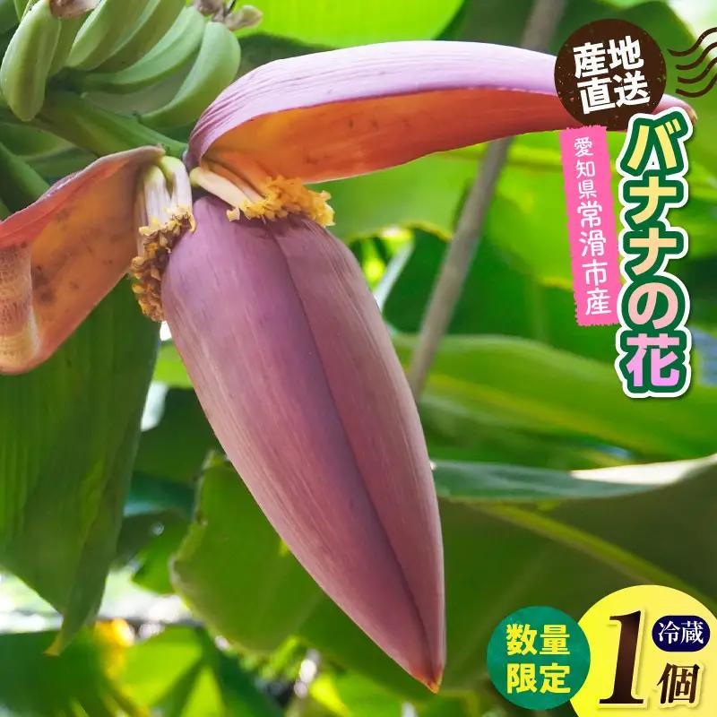 バナナの花　1個（300g以上） | バナナ ばなな 花 果物 フルーツ バナナハート 貴重 南国 産地直送 常滑市産 愛知県産 国内産 健康 就労支援 農業 アスナロファーム 愛知県 常滑市