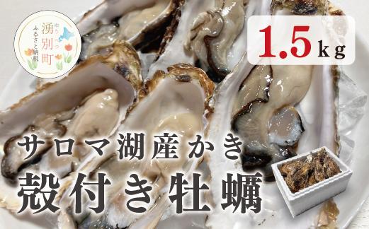 
            [№5930-0444]≪先行予約2025年11月から発送開始≫湧別町サロマ湖産殻付きカキ1.5kg　牡蠣 海鮮 魚介 国産 貝付き 生牡蠣 生食 焼き牡蠣 蒸し牡蠣
          