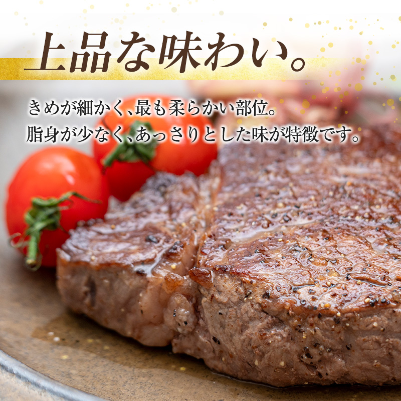 宮崎牛ヒレ肉ステーキ 計260g（130g×2枚）【C380】