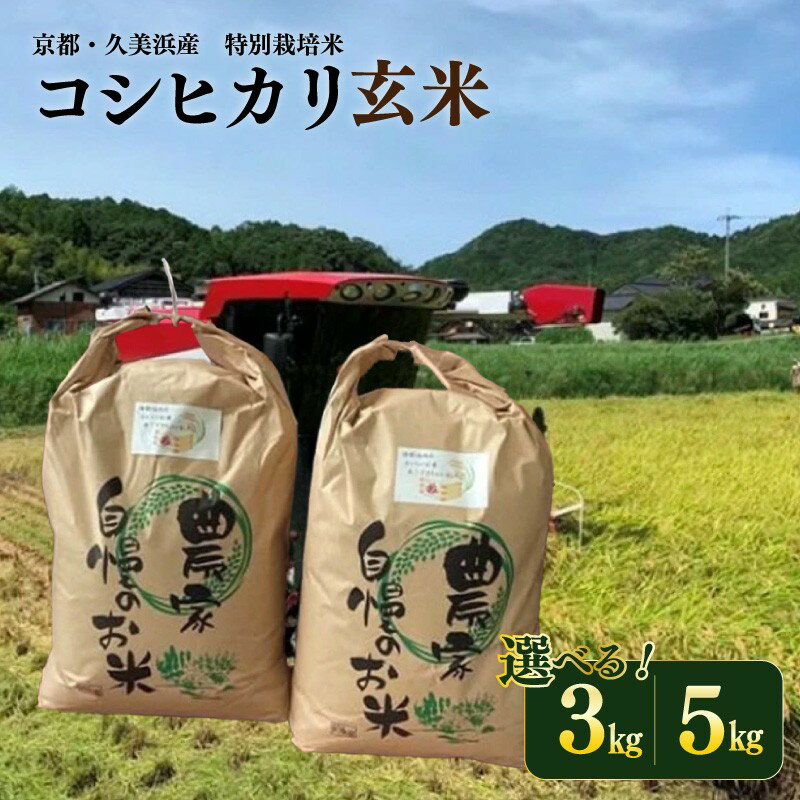 【ふるさと納税】令和7年産／京都・久美浜産 特別栽培米コシヒカリ（玄米）（2025年10月上旬～発送） 3kg 5kg 選べる 内容量 特別栽培米 コシヒカリ 玄米 おこめ おにぎり 京都産 ふるさと納税 お米 こしひかり 3キロ 5キロ 3kg 5kg ふるさと納税 米