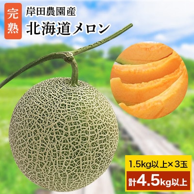 【2026年夏発送】岸田農園産 北海道メロン 3玉入り(サイズ:1玉1.5kg以上)【202】