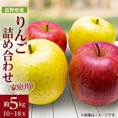 家庭用 2025年発送 りんご サンふじ＆シナノゴールド 詰め合わせ 約5kg(10～18玉程度)【1577937】