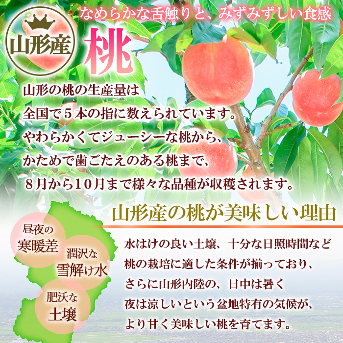 柔らかくなる桃 特秀 約2kg (6～9玉) [川中島] FY25-295