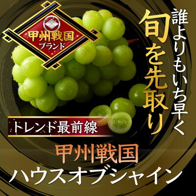 【ふるさと納税】【今だけしか食べれない】最高糖度20度オーバー贈答ハウスオブシャインマスカット2025年6月上旬発送【配送不可地域：離島】【1494212】