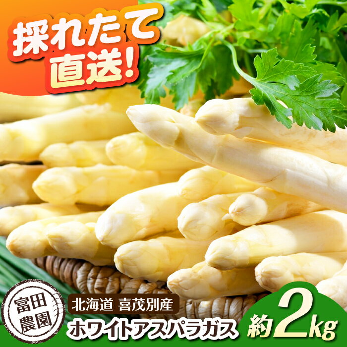 【ふるさと納税】【2026年分予約開始！】数量限定！喜茂別産 採れたて！ホワイトアスパラガス 約2kg 《喜茂別町》【富田農園/スプレス】 アスパラ アスパラガス ホワイトアスパラガス 季節の野菜 春野菜 先行予約 北海道 北海道 [AJAJ008] 23000 23000円