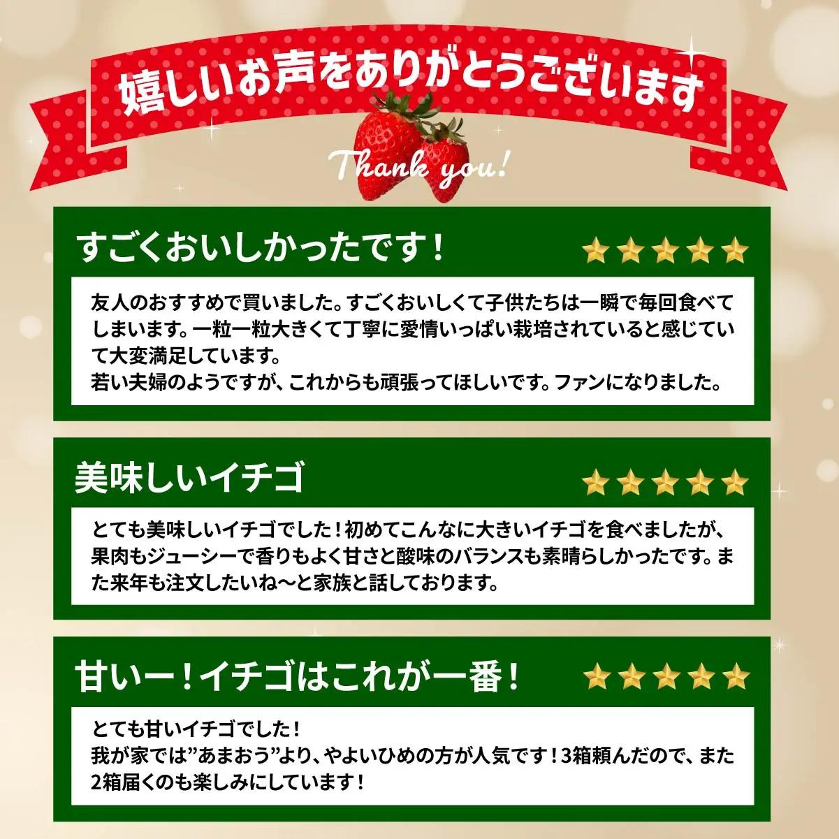 いちご やよいひめ 800g いちご品評会最高金賞 化粧箱入り