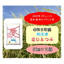 【ふるさと納税】令和5年産愛知県産 ブランド米 無洗米愛ひとつぶ 5kg×2袋計10kg　パールライス 安城工場精米【1469578】