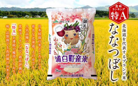 【12回定期便】＜令和8年産＞浦臼産ななつぼし 精白米 10kg（5kg×2袋） | 米 お米 こめ コメ ブランド米 白米 精米 ごはん ななつぼし 定期 定期便 北海道産 浦臼産 北海道 浦臼町 