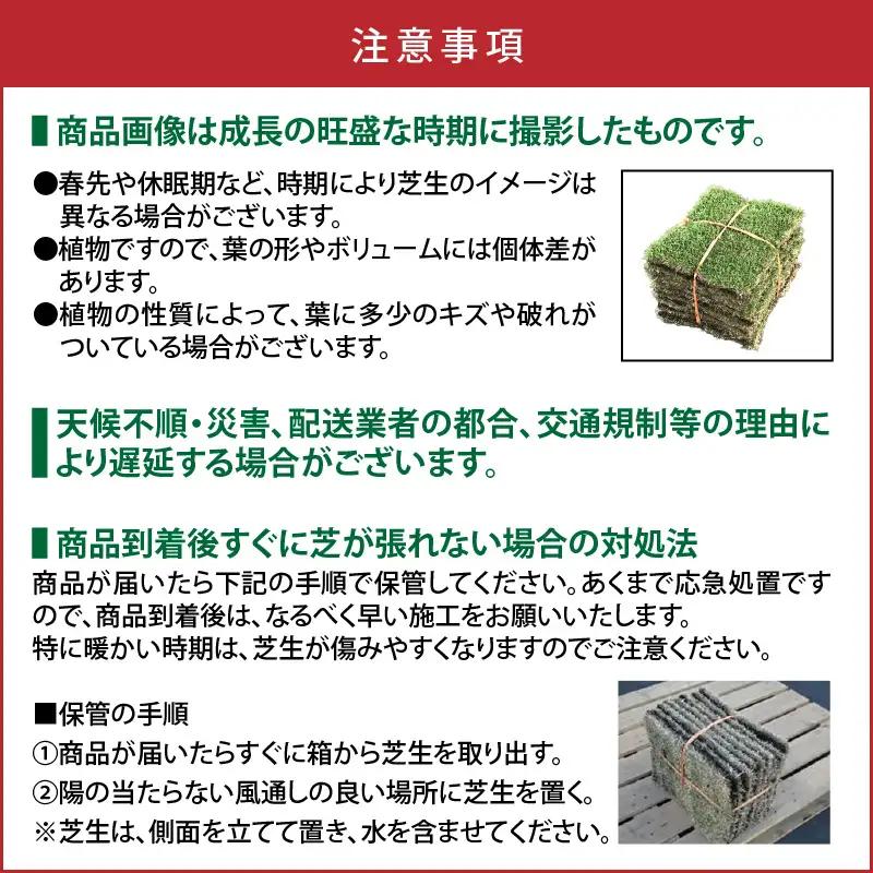 TM9（ティーエムナイン）省管理型 コウライシバ トヨタ自動車(株)開発品種 30平米 KN080-007-04 芝生 芝 庭