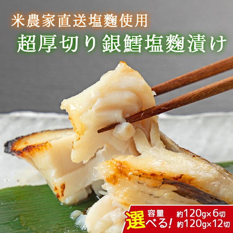 【ふるさと納税】＼選べる内容量／超厚切り銀鱈塩麹漬 ※北海道・沖縄・離島への配送不可