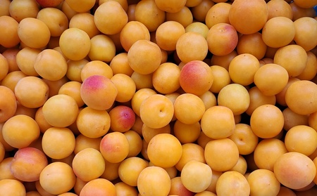 昔ながらの「しそ梅ぼし」中粒　１８０ｇ×２袋　0040-2503