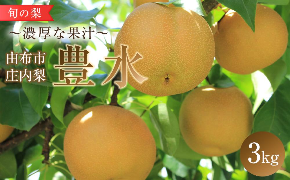旬の梨 豊水 3kg 庄内梨 大塚梨園＜2025年8月下旬以降発送＞