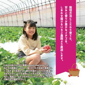 しあわせ届けるいちご農園HappyComeComeの贈答用 白いちごー月のしずくーPREMIUM SIZE《12月中旬-3月下旬頃出荷》