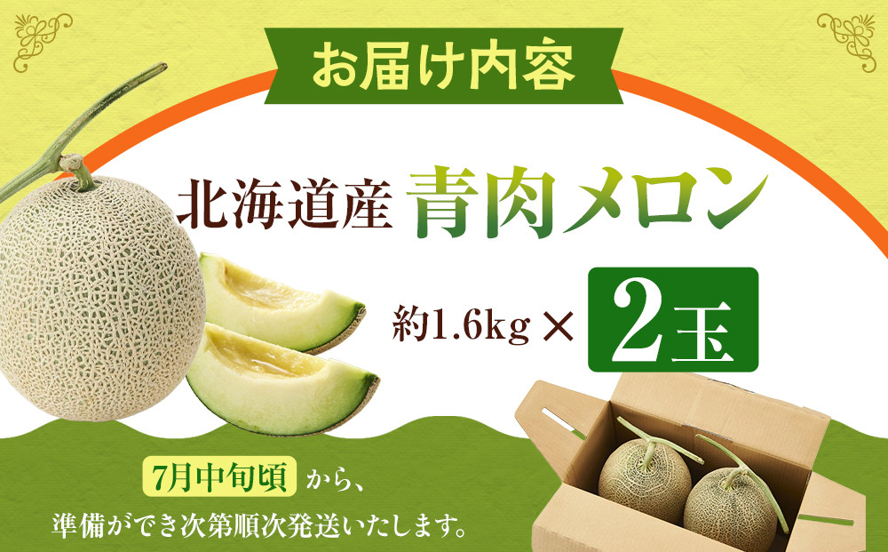 【先行予約】 北海道産青肉メロン約1.6kg×2玉 (2026年7月中旬から発送予定)【 果物 くだもの フルーツ メロン 青肉 青肉メロン 旬 お取り寄せ 甘い 北海道産 旭川市 北海道 】_052