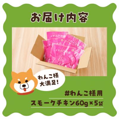 ふるさと納税 焼津市 わんこ様用5点セット(a10-1057) |  | 03