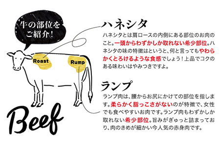 【全6回定期便】【極上 ステーキ】合計 600g (6枚入) ハネシタロース ランプ A4ランク 糸島 黒毛和牛 【糸島ミートデリ工房】[ACA170] 希少 ステーキ ランプ ロース 牛肉 赤身 国
