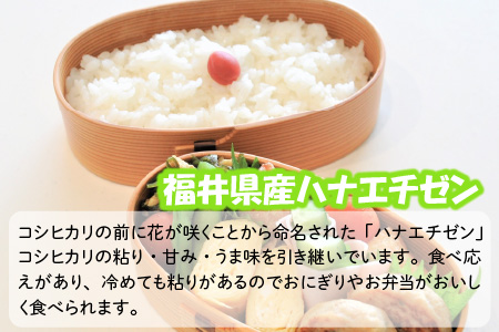 【令和7年産・新米】 おおかわさんちの華越前 10kg 精米 [C-10803]