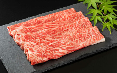 佐賀牛サーロインステーキ＆佐賀県産和牛ウデ（しゃぶしゃぶ・すきやき用）総重量約900g / ブランド牛 黒毛和牛 牛肉 / 佐賀県[41AECT024]