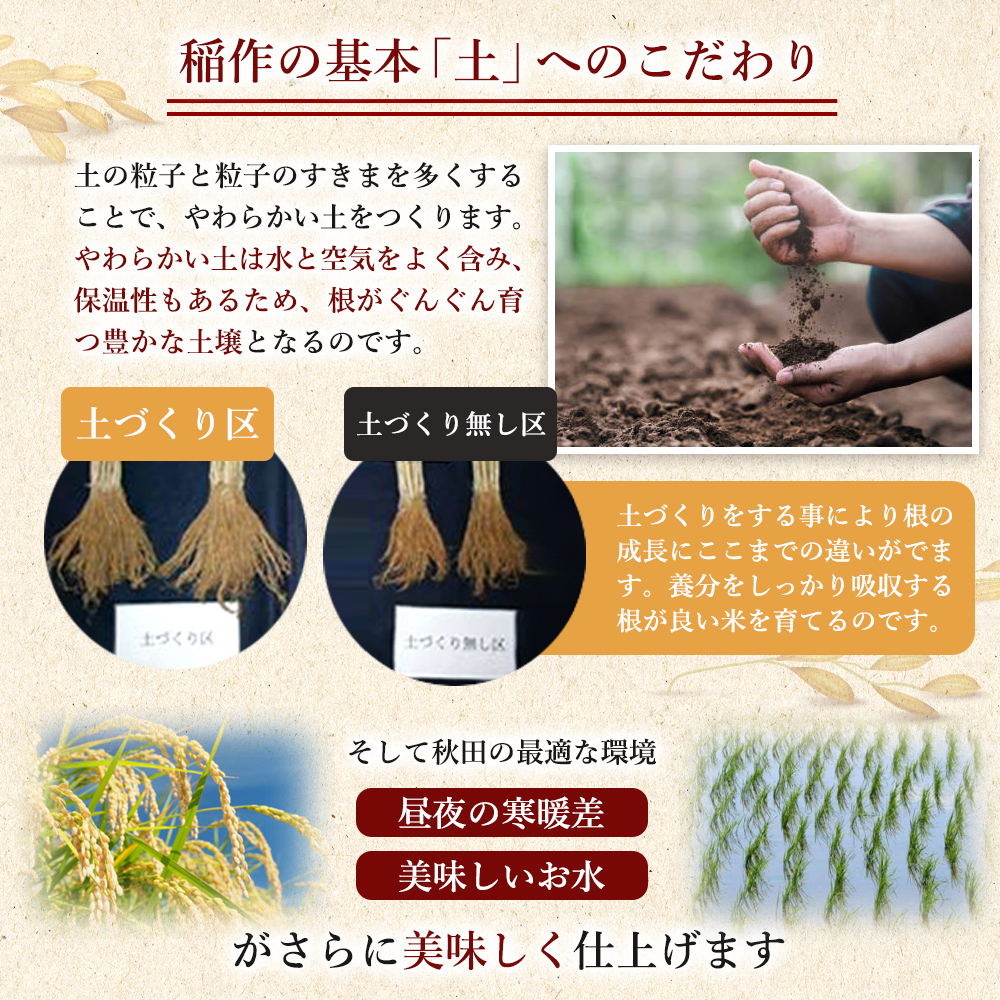 【新米先行予約　11月以降順次発送予定】定期便 全12回 ひとめぼれ 2kg×12回 計24kg 令和8年産〈土づくり実証米〉JAしんせい【 精米 白米 米 コメ お米 ブランド米 ご飯 秋田 にかほ