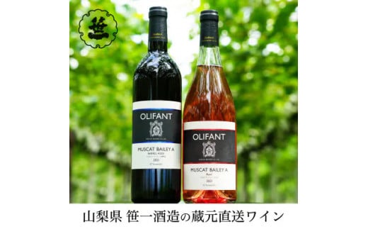 
【蔵元直送】笹一酒造のOLIFANT(オリファン)ワイン＜赤・ロゼ＞飲み比べ2本セット
