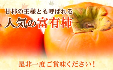 先行予約〈ご家庭用〉柿の名産地 九度山の 富有柿 約 7.5kg 厳選館 《2024年11月上旬-12月下旬頃出荷》 和歌山県 日高川町 柿 カキ かき ジューシー フルーツ