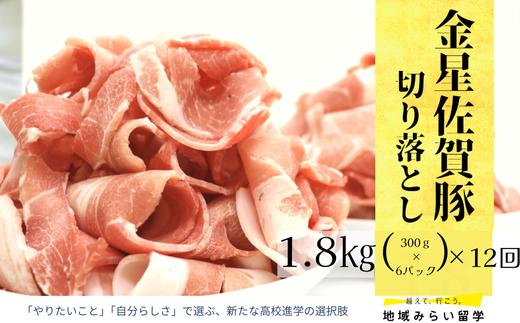 
            【定期便】豚肉定期便(連続12回/豚肉切り落とし)
          