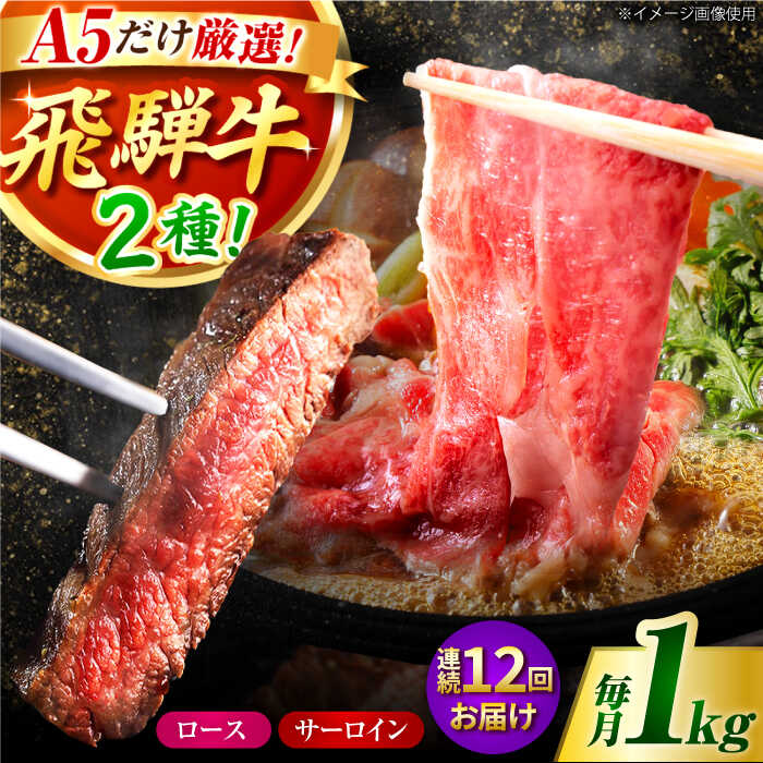【ふるさと納税】【12回定期】特選飛騨牛ステーキ&すきやき用(1kgセット) / 飛騨牛 ブランド牛 A5 すき焼き すきやき サーロイン ステーキ ステーキ肉すき焼き用牛肉 肉 すき焼き肉 牛肉 ロース 鍋 A5ランク 定期便 / 岐阜県 御嵩町 / 肉のキング [AVAG013]