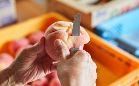 【硬い桃好きの方へ】大人気！かためのパリッと食感！山形産 もも 3kg【令和8年産先行予約】FS25-084