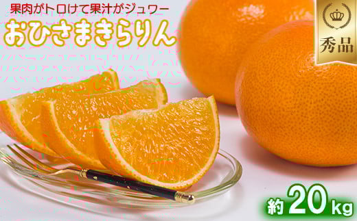 今村農園のおひさまきらりん 約20kg【秀品】 甘い オレンジ みかん ミカン 清美 10kg 12月発送 1月発送 先行予約 贈答 柑橘類 フルーツ ＜107-027_7＞