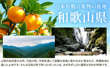 和歌山県産 ポンカン 7.5kg 中畑農園 ぽんかん 柑橘