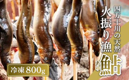 天然鮎 火振り漁 800g  冷凍 4-12尾 鮎 あゆ アユ 川魚 高知県 四万十 