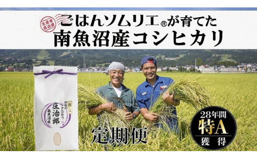 
定期便2kg×12回 ごはんソムリエの南魚沼産コシヒカリ　100％塩沢産
