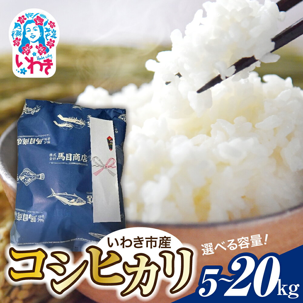 【ふるさと納税】【選べる容量】【令和8年産】いわき市産 コシヒカリ 5kg/10kg/20kg | いわき市産 コシヒカリ 新米 令和8年度産 令和8年産 白米 単一原料米 粒揃い 甘み もちもち ふっくら つややか ごはん ギフト 5kg 10kg 20kg 選べる 容量 | BF043-oya