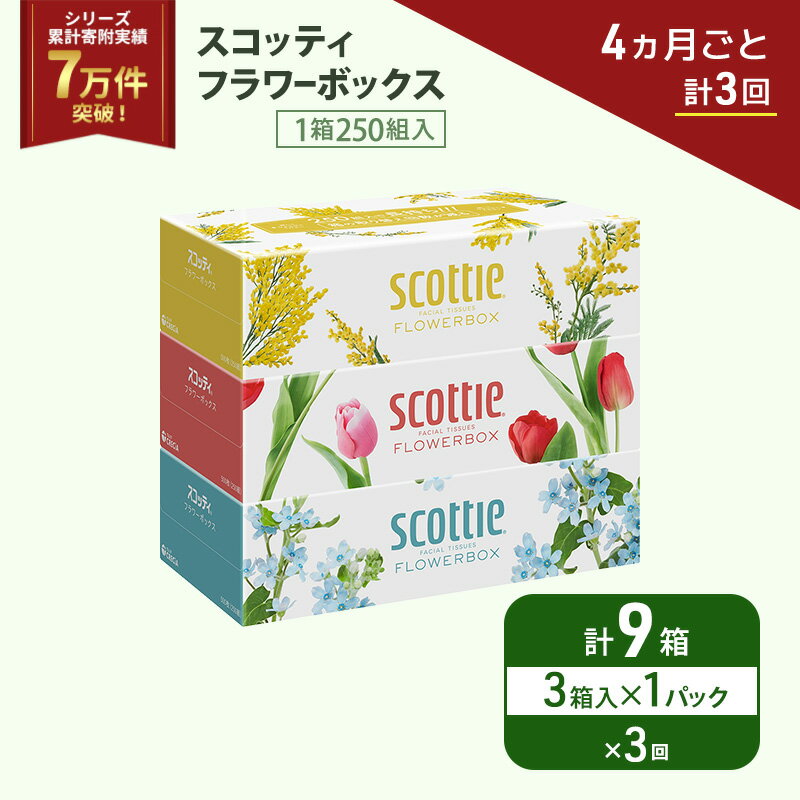 【ふるさと納税】 定期便 ティッシュ 3箱 (4ヶ月ごと計3回) スコッティ フラワーボックス 日本製 長持ち 日用品 生活用品 必需品 消耗品 便利 楽 コンパクト 防災 備蓄 備え 安心 送料無料 累計寄附実績7万9千件超 宮城県 岩沼市