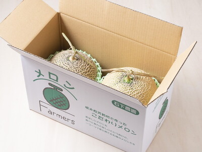 〈先行予約受付〉石下農園のアールスメロン〈青肉〉 Lサイズ 2玉セット ｜ 果物 フルーツ メロン 国産 アールスメロン ギフト 贈答 ※着日指定不可 ※離島への配送不可 ※2025年9月下旬～11月