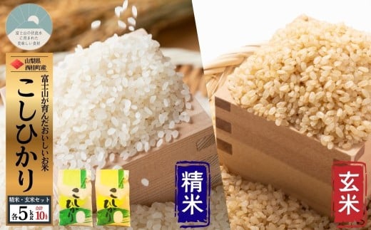 コシヒカリ【精米5キロ＋玄米5キロ】合計10キロ  / 国産 こしひかり  10キロ 令和7年産 米 お米 玄米 保存袋 生活必需品 ギフト 贈り物 お歳暮 ふるさと納税 送料無料【n0669_gou】