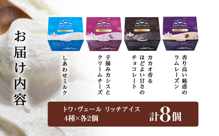 リッチアイスクリーム 8個セット（100ml）【 4種 × 各2個】アイス スイーツ おやつ 冷凍 食べ比べ