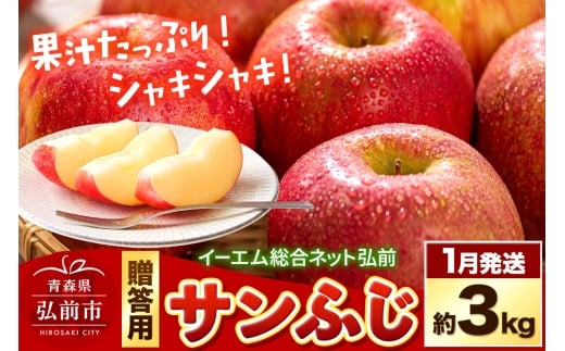 【26年1月発送】りんご  贈答用 サンふじ 約3kg 糖度 13度以上 EMりんご
