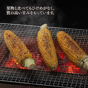 【先行予約】象もろこし（ライオンコーン）大きいサイズのトウモロコシ　480ｇ以上8本入り(2025年8月下旬～発送開始予定) | _01412