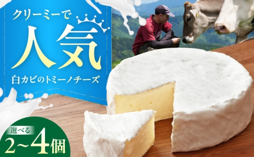 山地放牧酪農ミルクのトミーノチーズ（白カビタイプ）3個セット/チーズ トミーノチーズ  愛媛県 伝統製法 おつまみ 乳製品 白カビチーズ 白カビ まろやか 濃厚 大人気チーズ 美味しいチーズ おしゃれ 人気 おすすめ 送料無料 ナチュラルチーズ 新鮮 おつまみチーズ 乳製品 加工食品 食品 グルメ お取り寄せグルメ 高級 手作り 詰め合わせ 内子町/株式会社醍醐 [BKAH004]