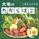 【ふるさと納税】 大地のたからばこセット（1箱） ／ 農産物 野菜 新鮮 旬 送料無料 千葉県 山武市 SMA002