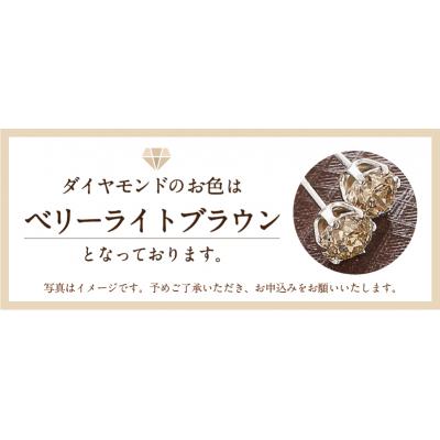 ふるさと納税 甲府市 K18　ダイヤ0.50c0.50ct　ピアス　403073 |  | 03