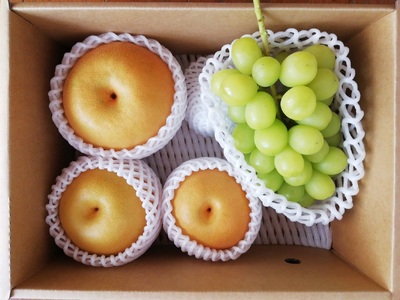 【直送便】完熟シャインマスカットと和梨セット（小）　0148-2611