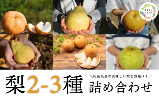 梨好きのための、梨2～3種食べ比べ ご家庭用 5-7玉 (岡山県産) 【KF-C016-02】