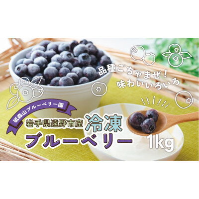 【ふるさと納税】冷凍 ブルーベリー 1kg 岩手県遠野市 遠野食工房蔵【配送不可地域：離島】【1583534】